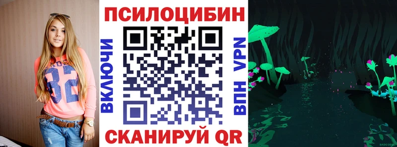 закладки  Алейск  Псилоцибиновые грибы GOLDEN TEACHER 